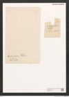 Diatomeae indet. Zeichnungen Sammlung Grunow (NHMW-BOT-W0372477)
